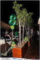 063aLido_Pepys_Beach_Party_LovePhoto_05072011