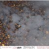 015LovePhoto_Ass_Incontriamoci_Sempre-13112010_Festa_del_Vino