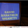 044LovePhoto_Ass_Incontriamoci_Sempre-13112010_Festa_del_Vino