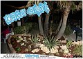 048Lido_CalaAzul_Party_LovePhoto_19062011